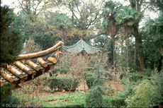 China (202 von 257).jpg